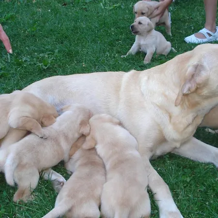 Casa Anhelo El Candil * Puebla de Lillo