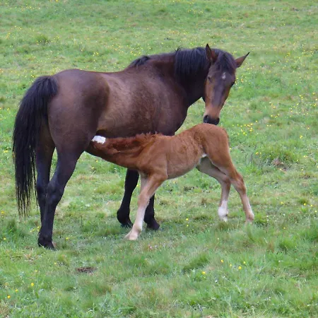 Hébergement de vacances Casa Anhelo El Candil