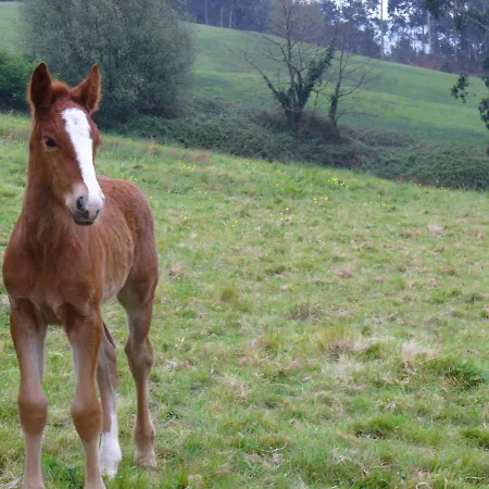 Casa Anhelo El Candil *