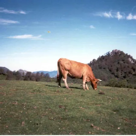 Holiday home Casa Anhelo El Candil