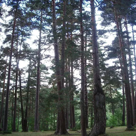 Casa Anhelo El Candil *