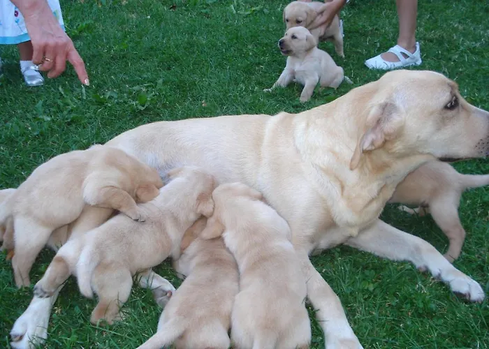 Casa Anhelo El Candil * פואבלה דה לילו