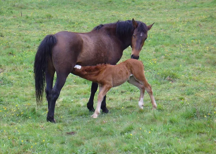 Holiday home Casa Anhelo El Candil