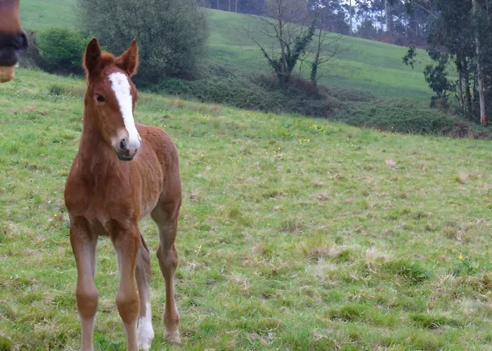 Casa Anhelo El Candil *