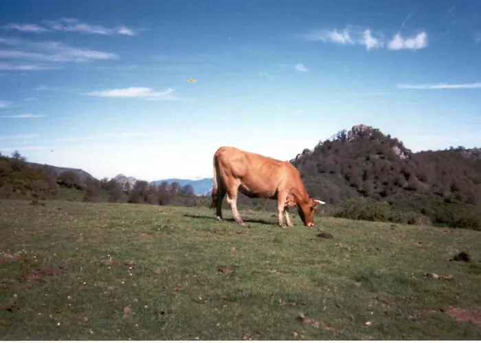 Holiday home Casa Anhelo El Candil