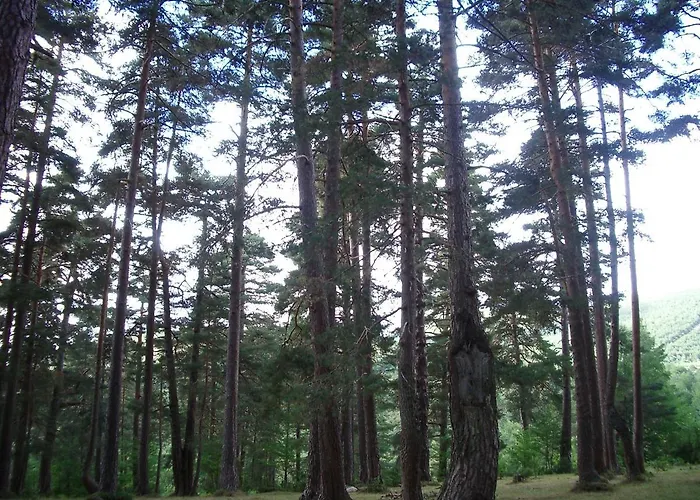 Casa Anhelo El Candil *